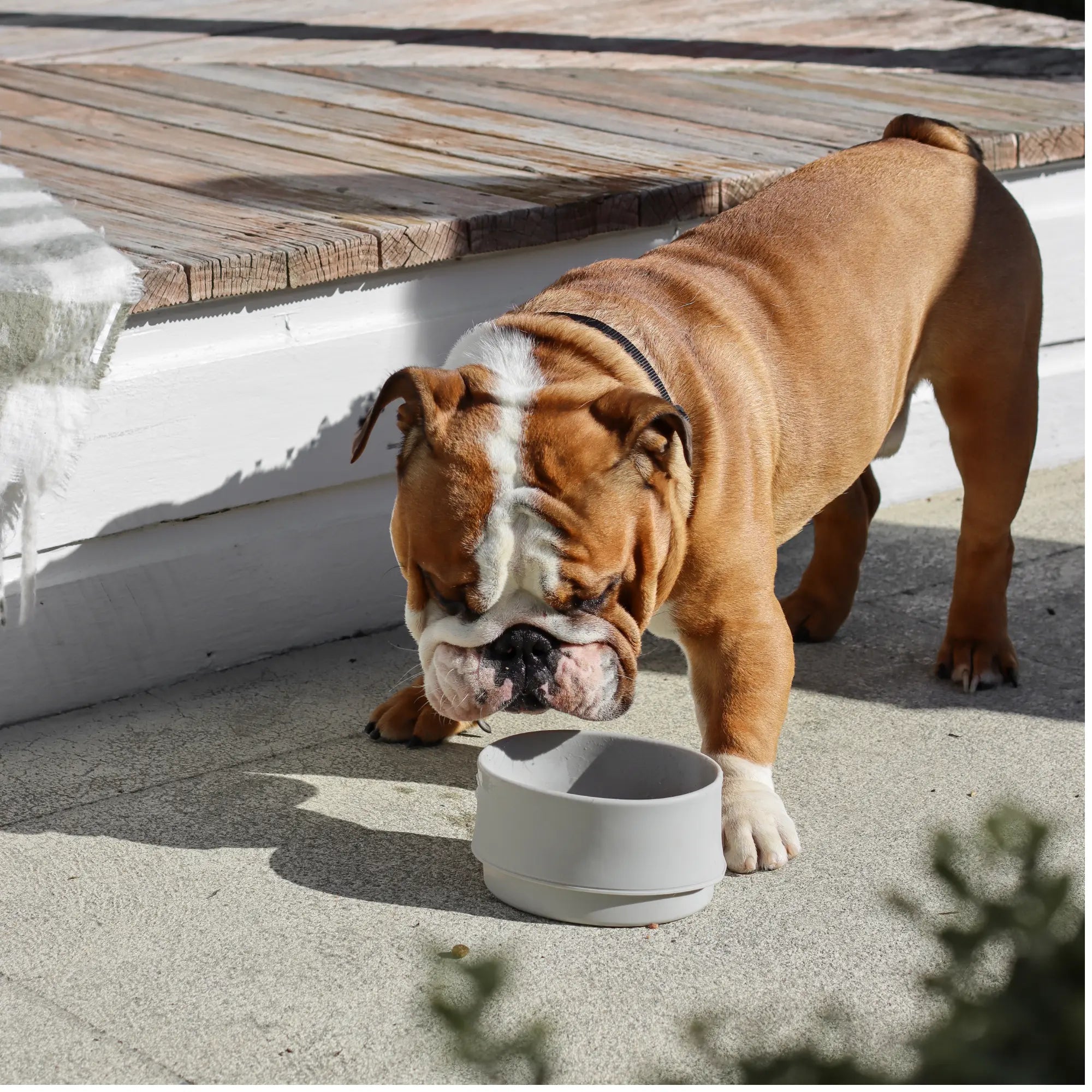 The 2-in-1 Travel Bowl