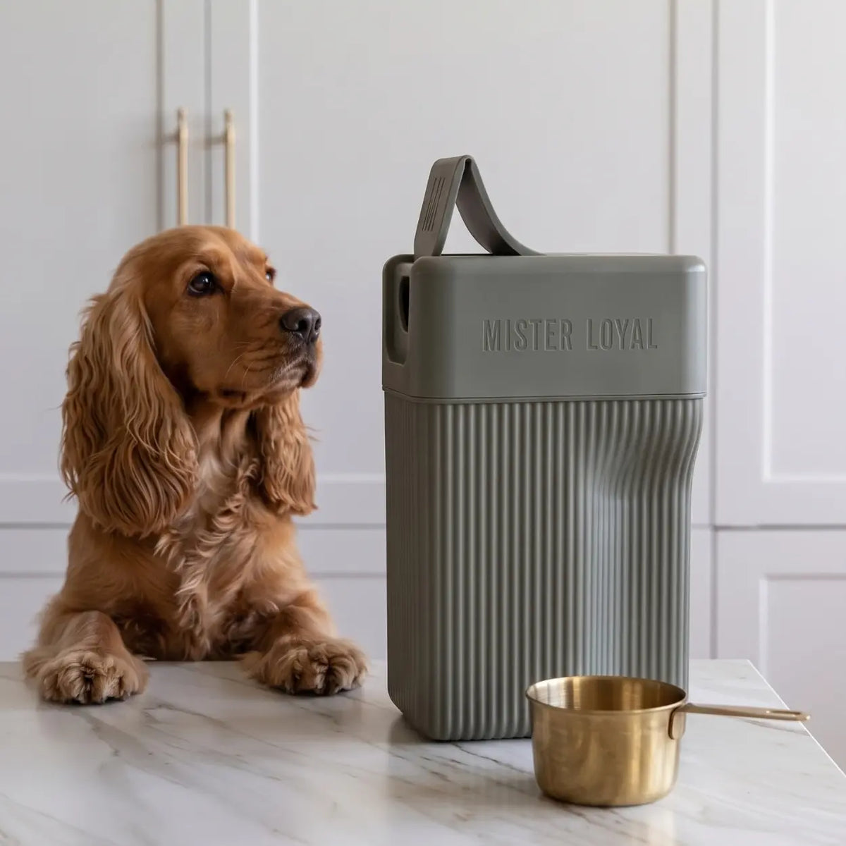 Airtight Kibble & Pet Food Canister