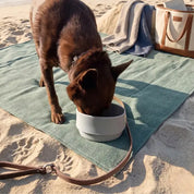 The 2-in-1 Travel Bowl