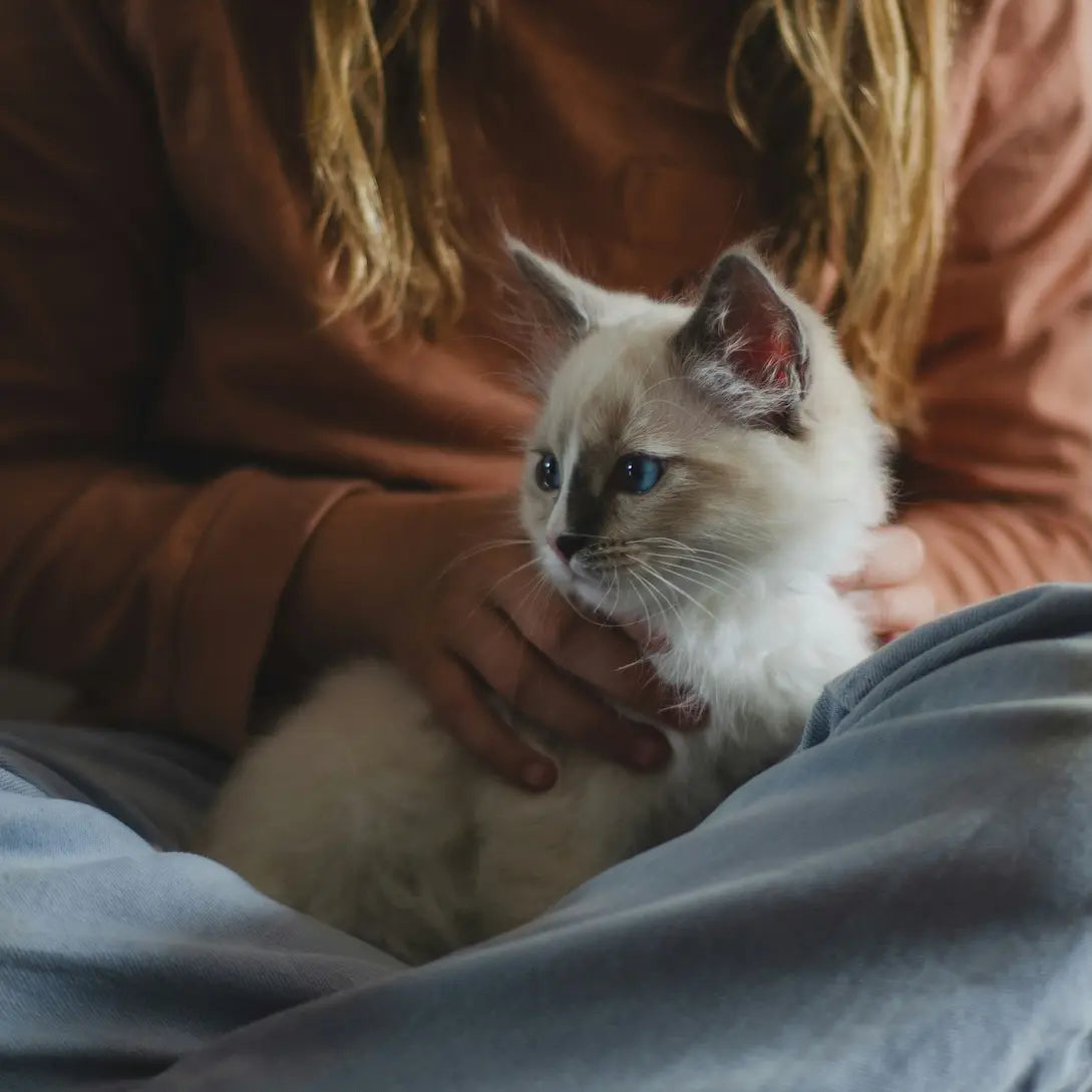 ryland-dean-B82YEivSHjY-unsplash.webp